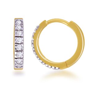 Hoop Earrings 2482